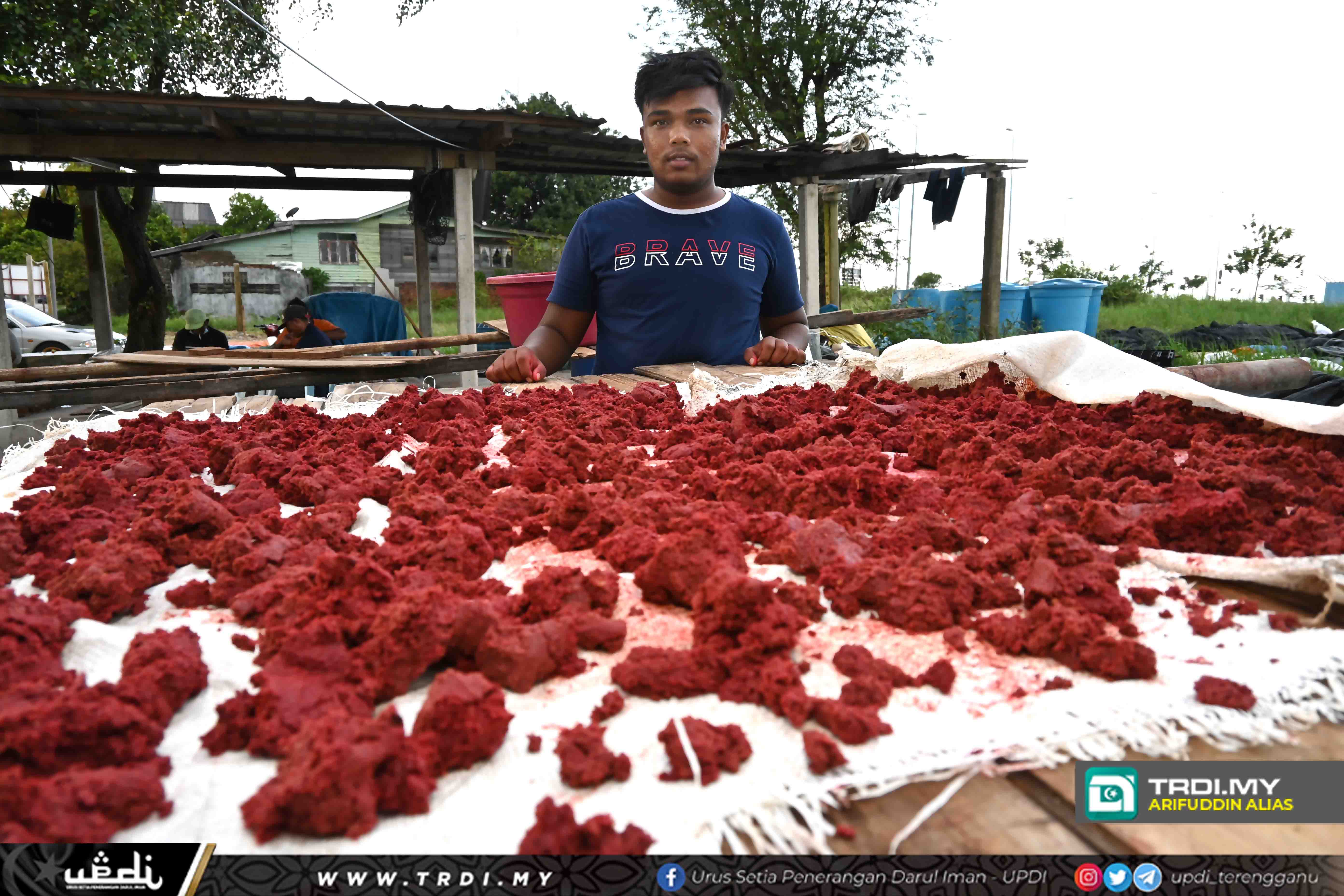 Usahawan Muda Raih Pendapatan Lumayan Jual Belacan