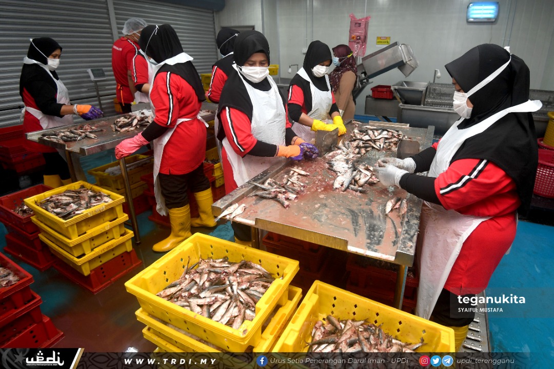 Sektor Perikanan, Benih Ikan Terengganu Teratas Di Malaysia