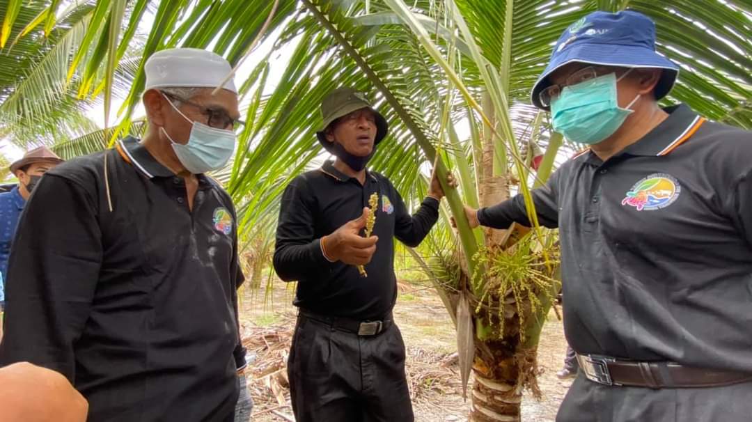 CSR Tani, Langkah Penjimatan