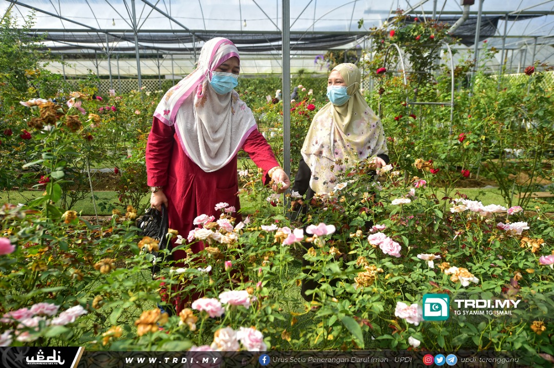 Zetty Roses Bakal Terokai Industri Pati Minyak Wangi