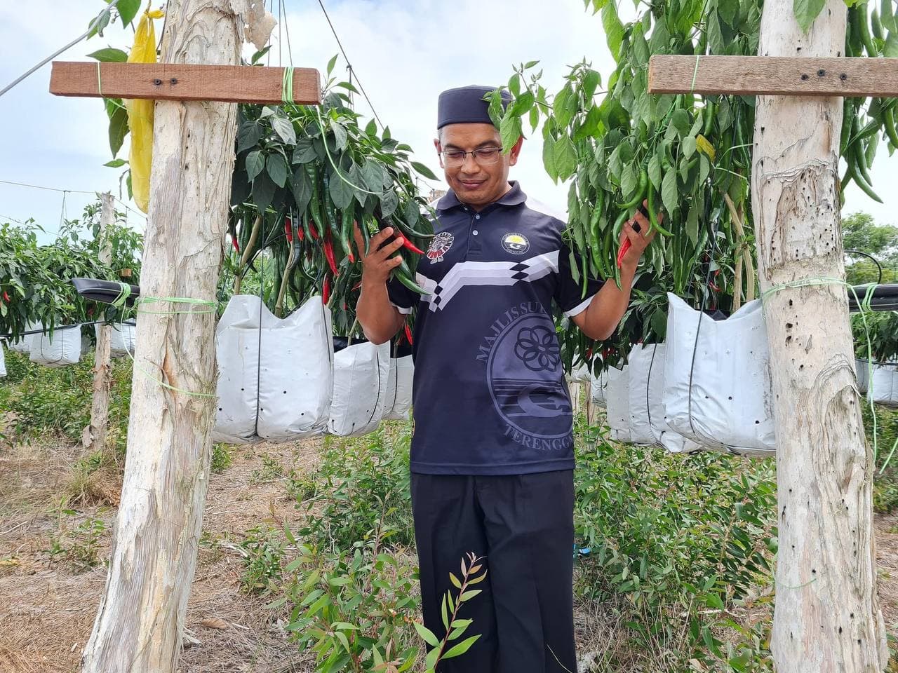 Terengganu Salur RM300,000, Bantu Penanam Cili