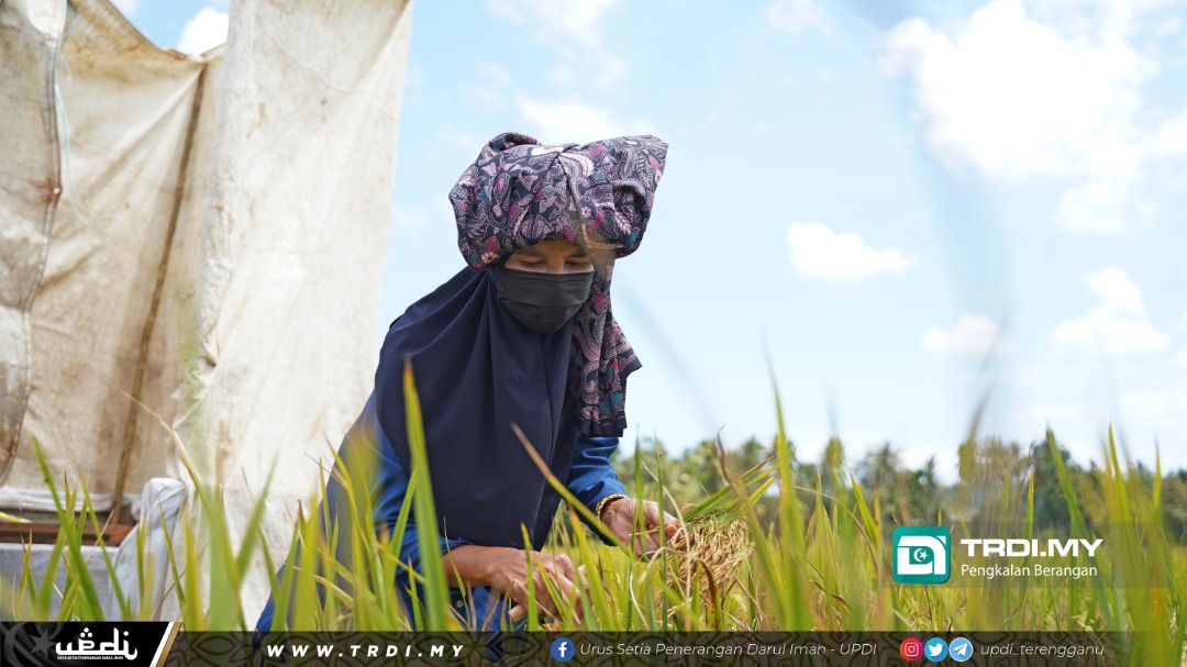 Terengganu Salur RM500 Kepada Warga Tani Positif COVID-19