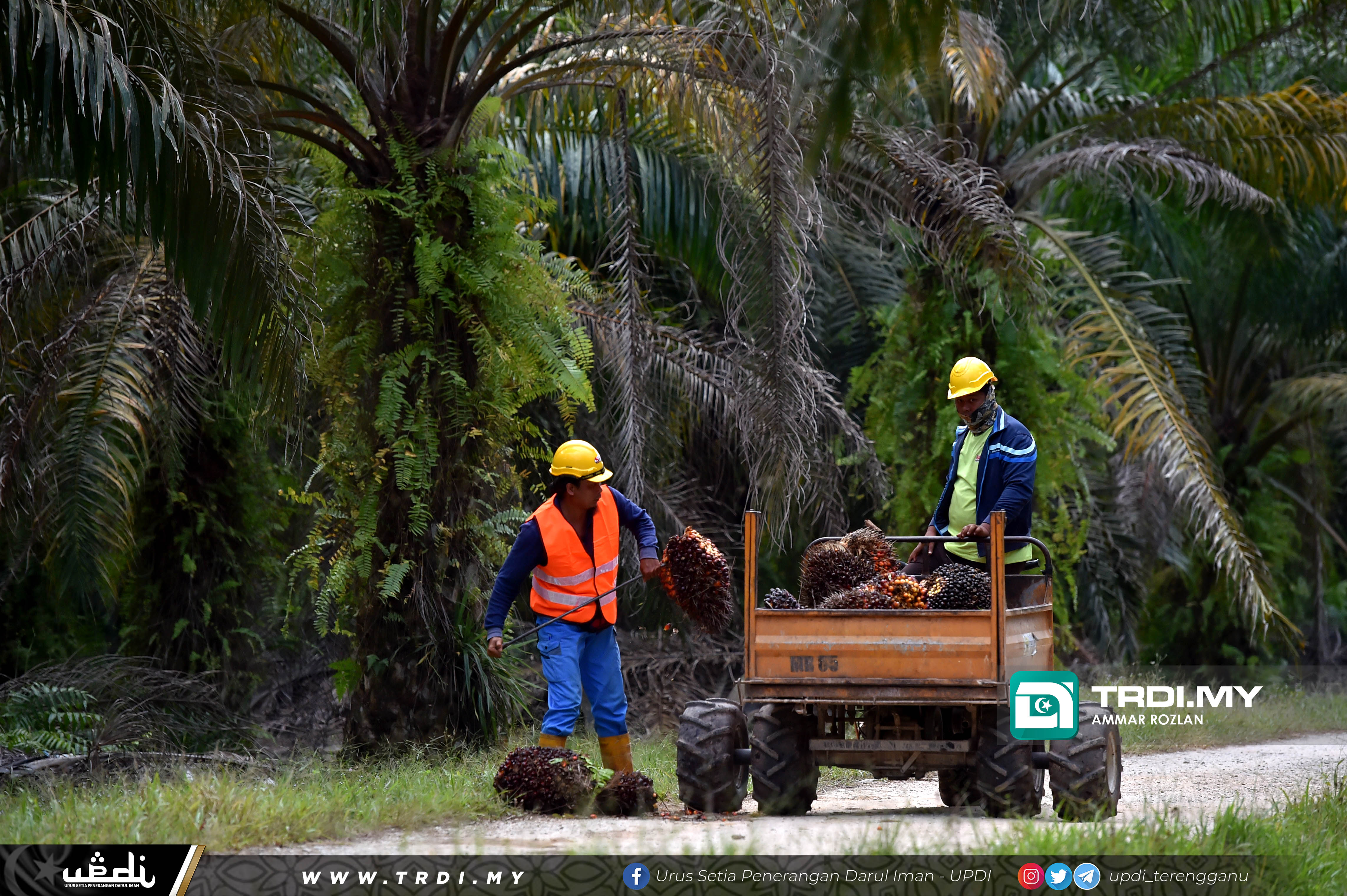 800 peluang pekerjaan kepada warga tempatan dari TDM Berhad