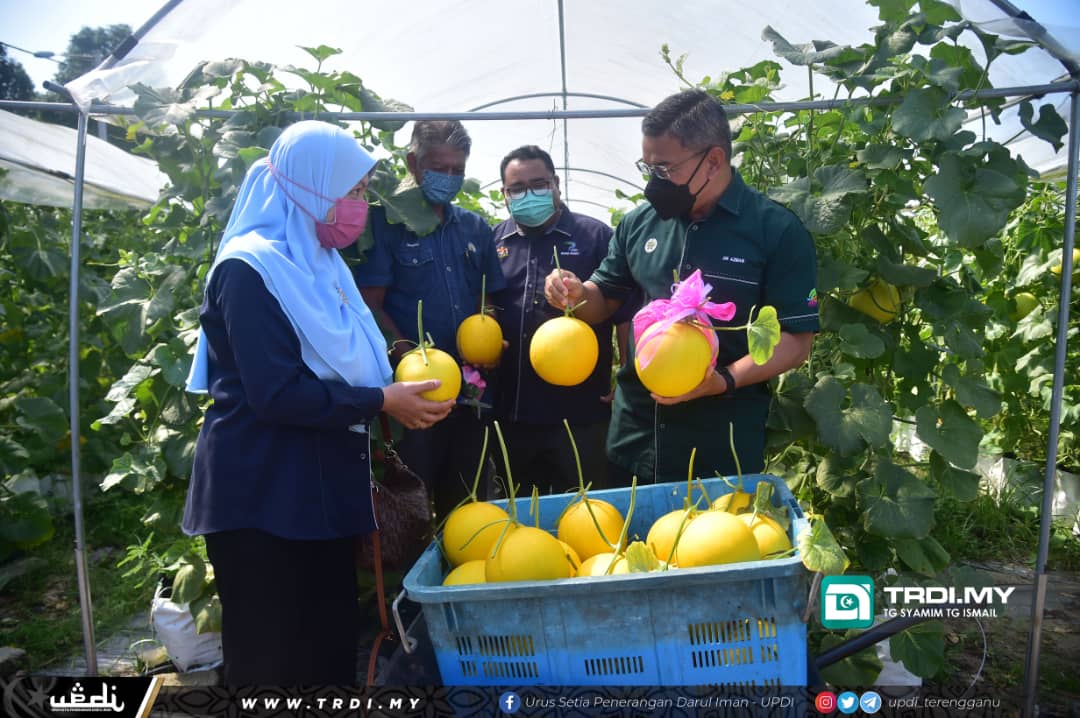 Kerajaan Berusaha Penuhi Permintaan Tinggi Melon Manis Terengganu