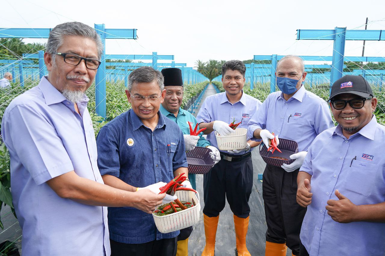 Guna Teknologi IoT Dalam Penanaman Cili