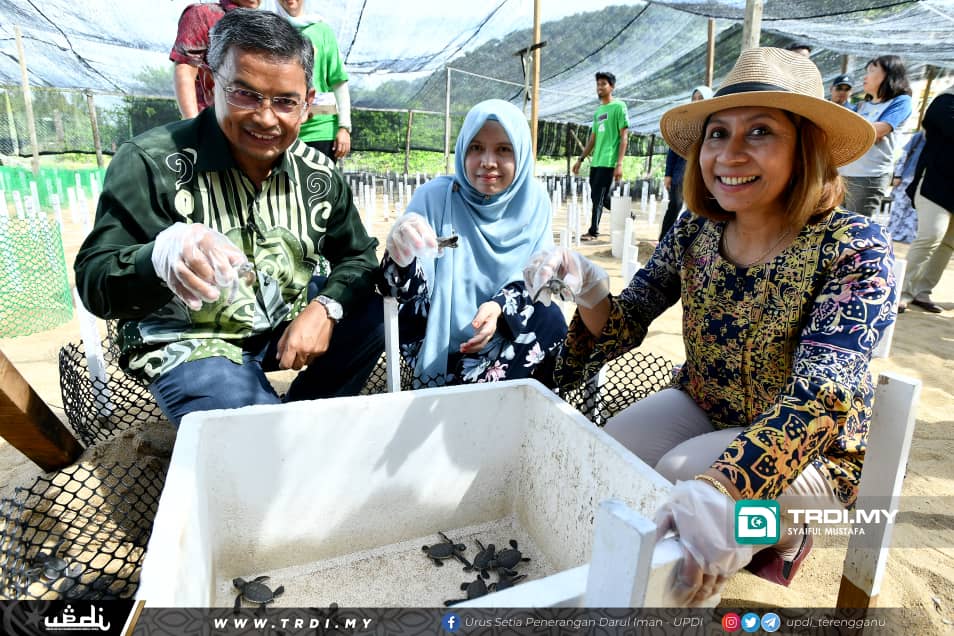 'Terengganu Turtle Camp 2022' Didik Pelajar Kepentingan Ekosistem