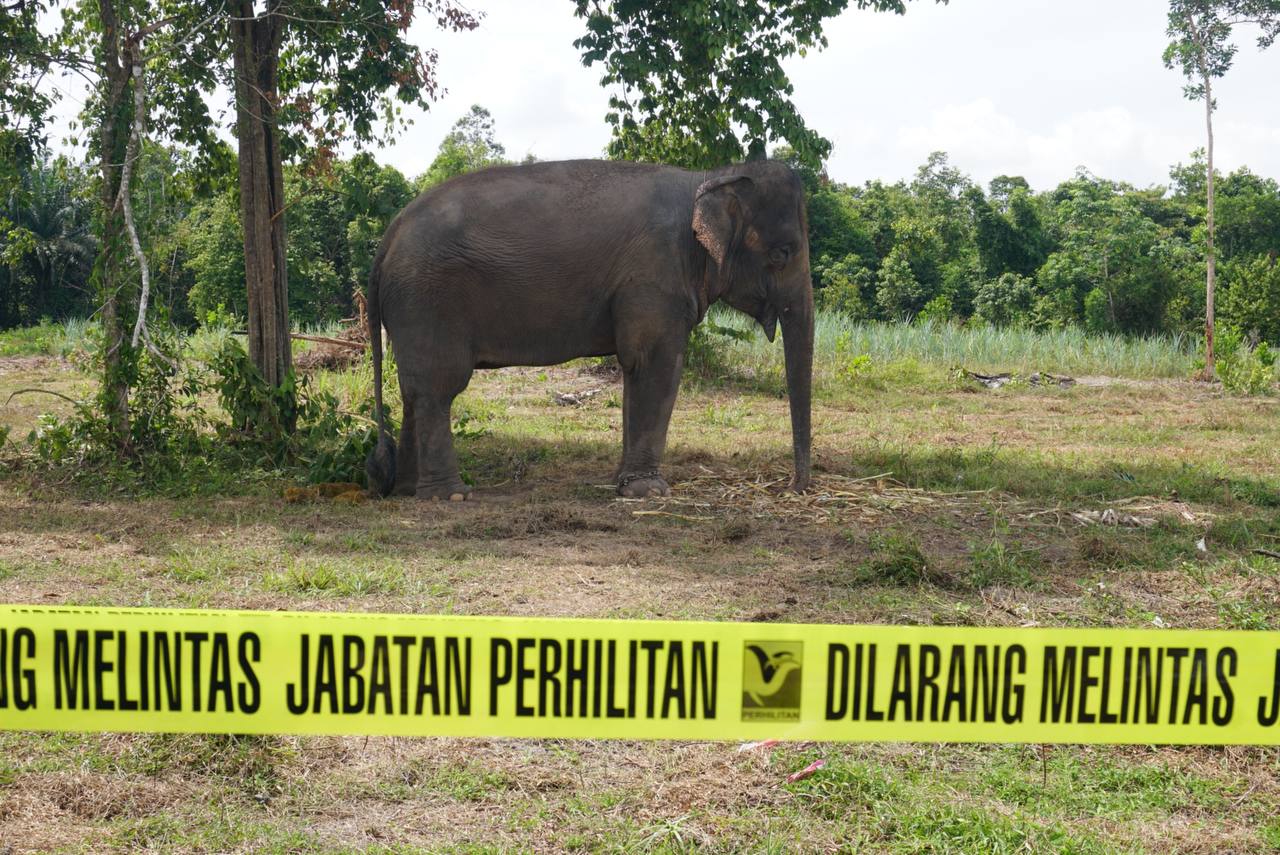 'Suria' Antara Tarikan Ke HPPNT2022