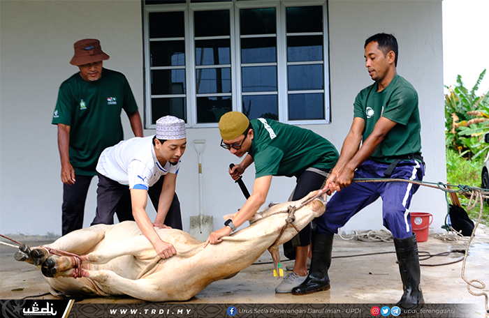 18 Ekor Lembu Untuk Fakir Miskin DUN Batu Buruk