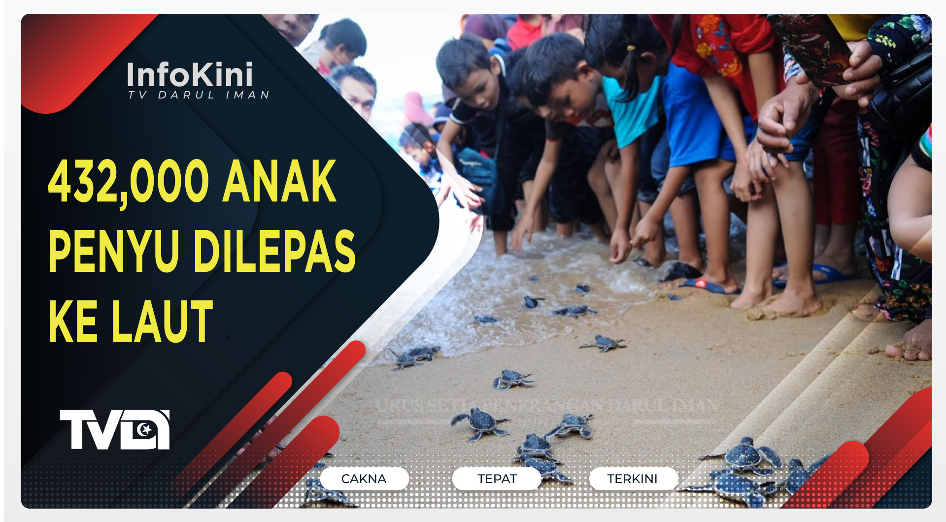432,000 Anak Penyu Dilepas Ke Laut