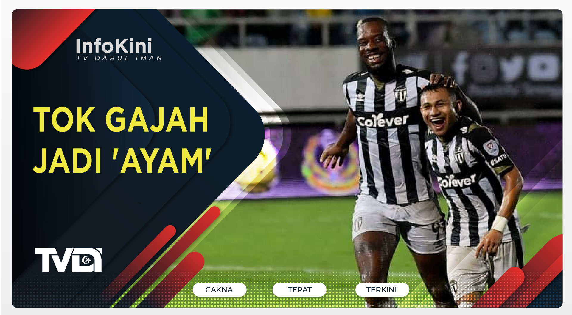 Tok Gajah Jadi 'Ayam'