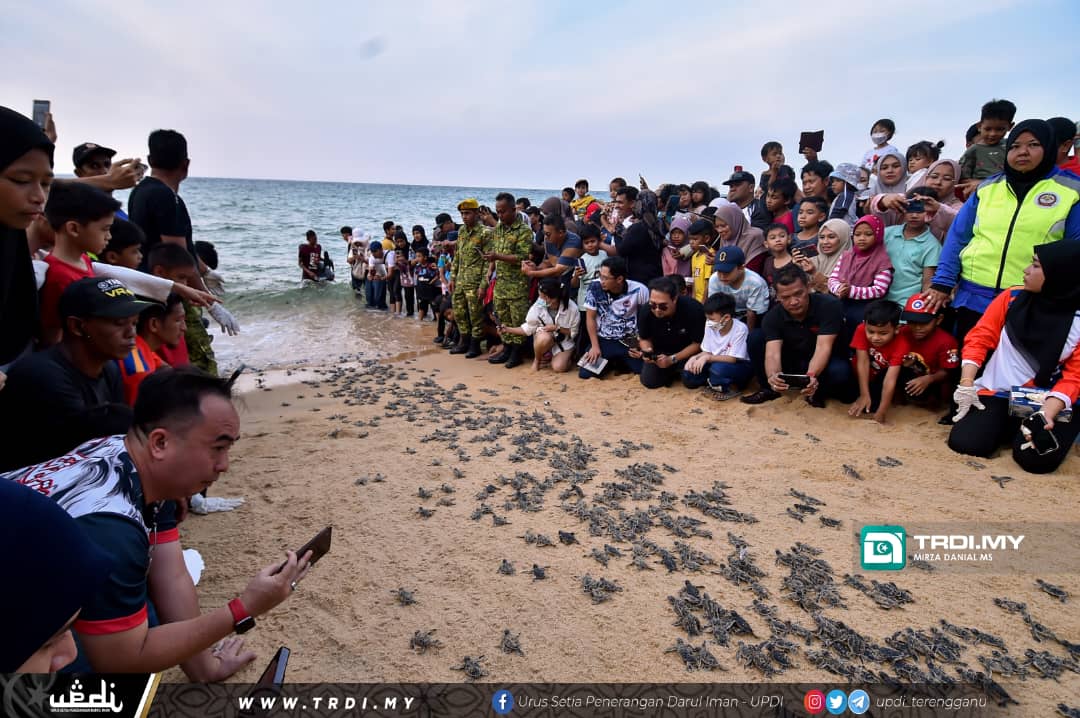 Pelancongan Berkaitan Penyu di Terengganu Kembali Rancak