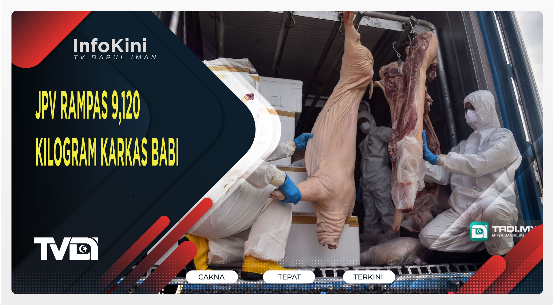 JPV Rampas 9,120 Kilogram Karkas Babi