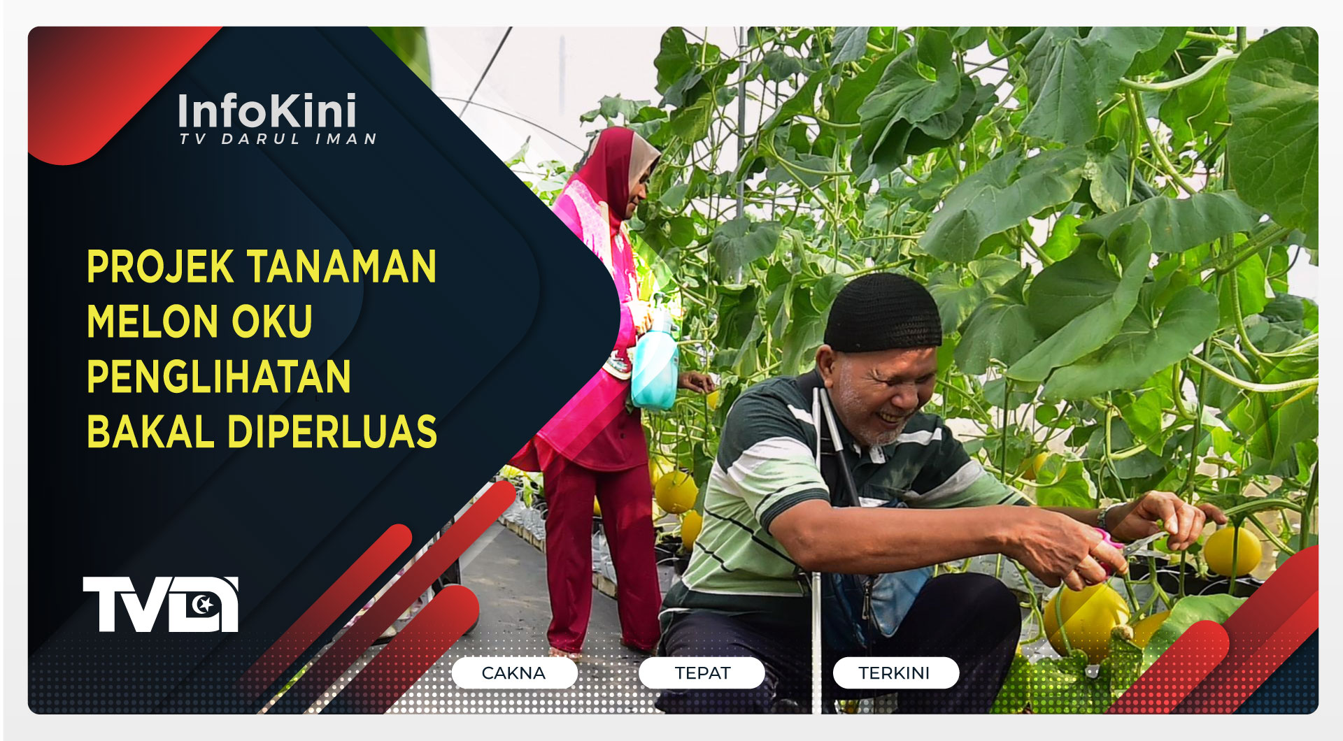 Projek Tanaman Melon OKU Penglihatan Bakal Diperluas