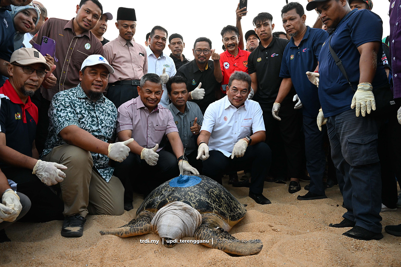 Terengganu Ambil Langkah Drastik Lindungi Penyu