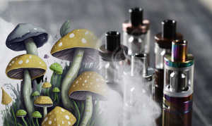 Mushroom : 'Order Online', Titis Dalam Vape Kemudian Khayal