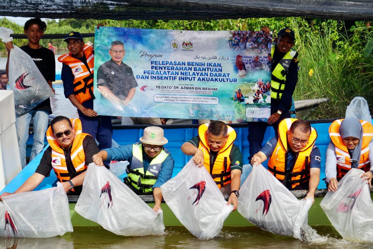 38 Ribu Benih Ikan Dilepaskan Di Sungai Setiu