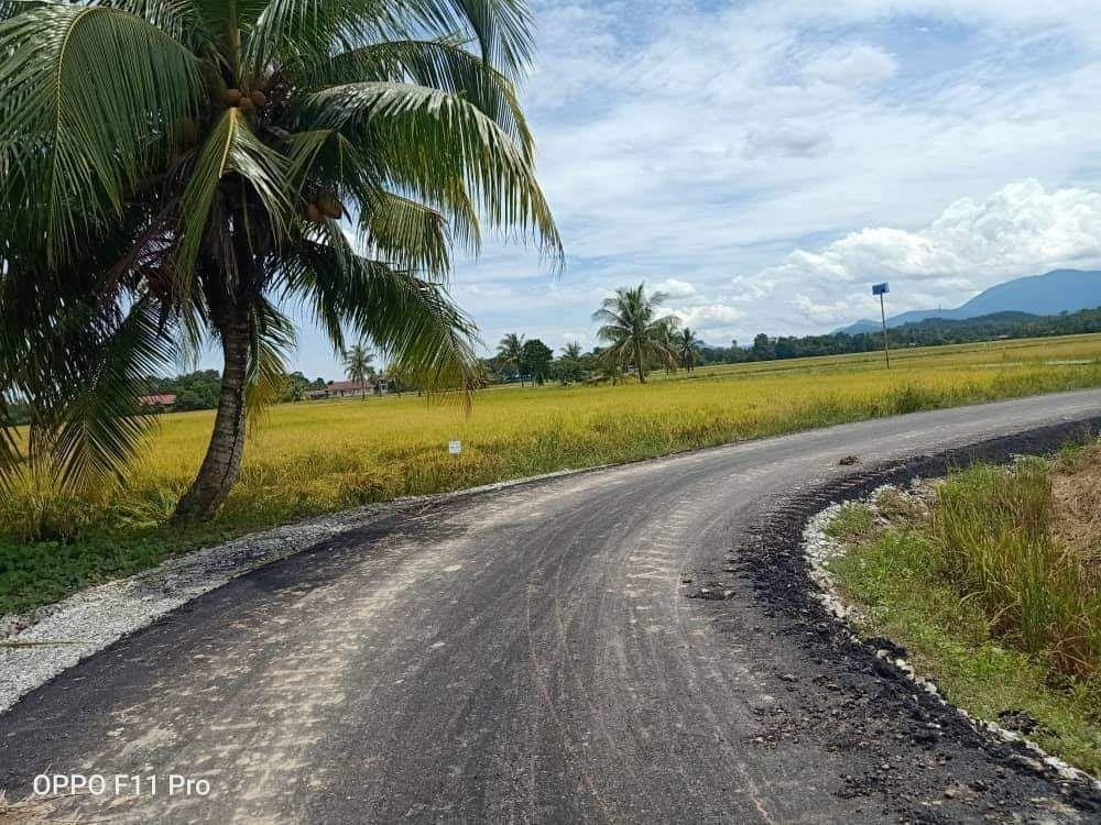 Turap Jalan Untuk Pesawah