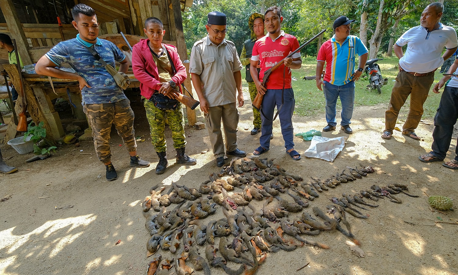 100 'Penebuk Buah' Ditembak Mati