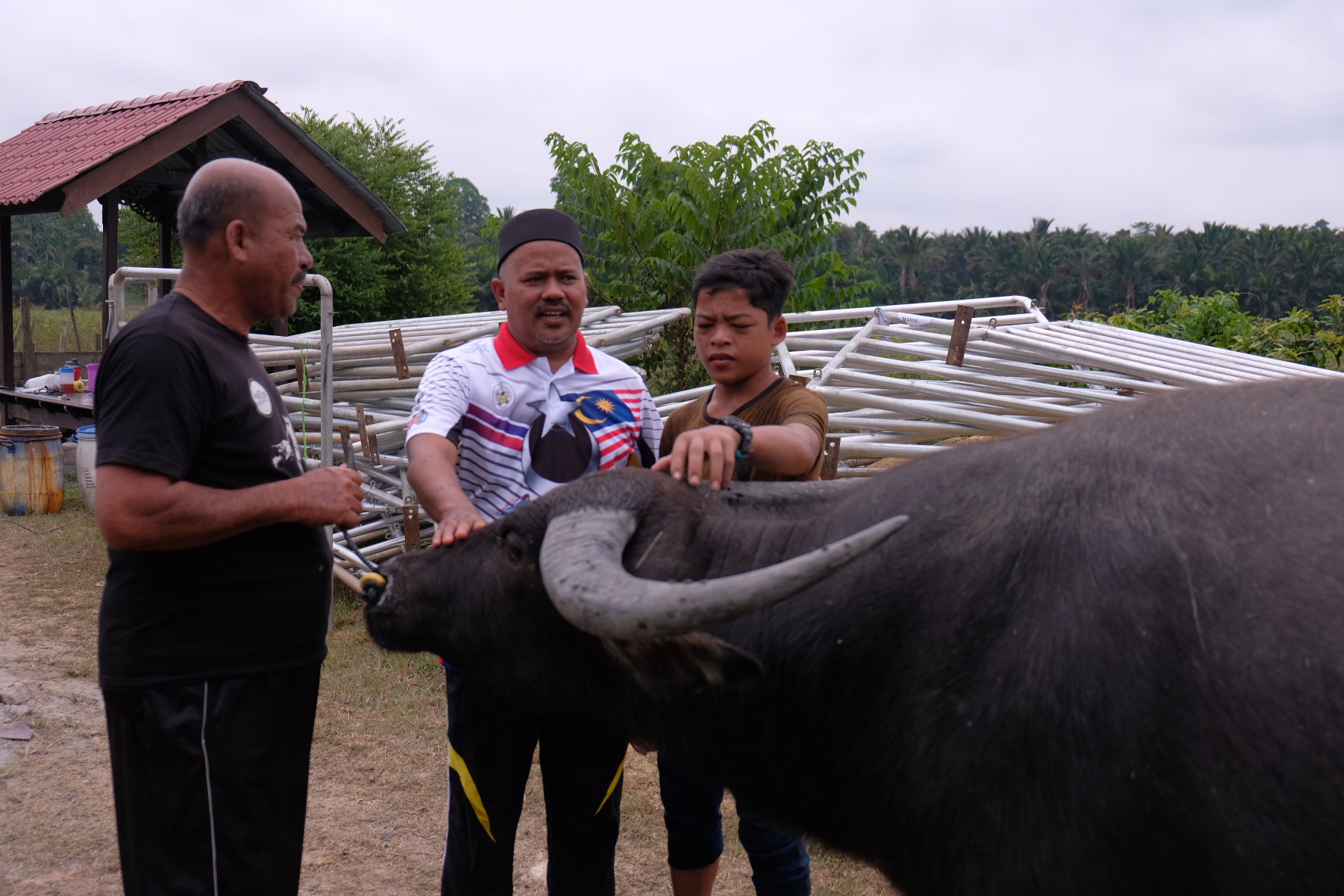 ADUN Alur Limbat Bantu Pak Khamis
