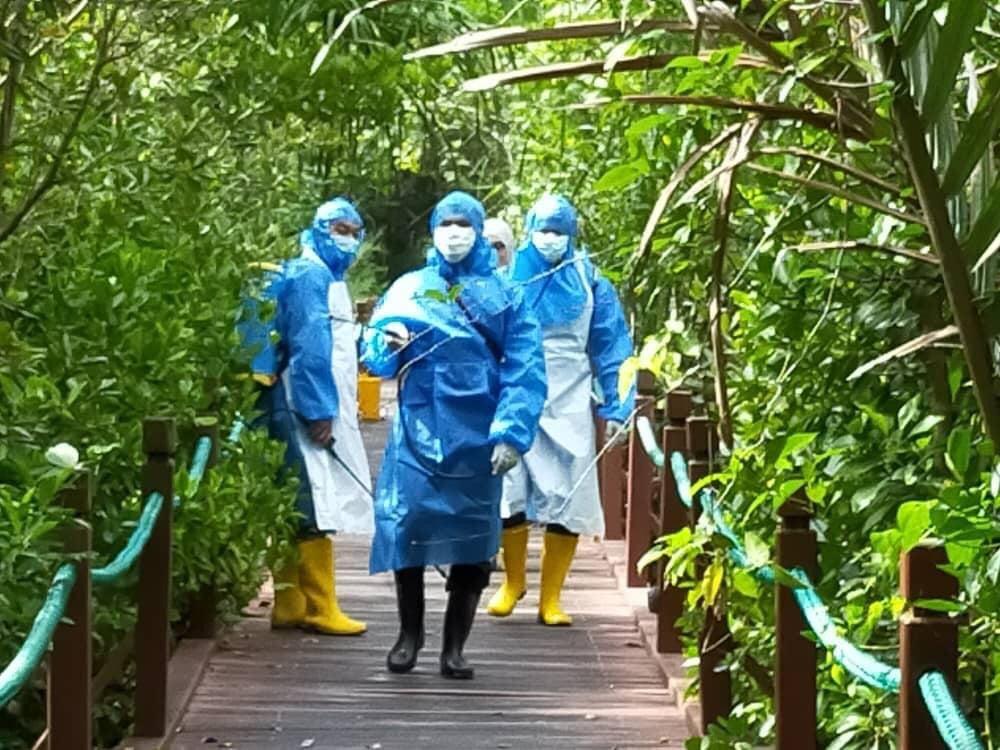 Taman Negeri Boardwalk Setiu Dinyahkuman