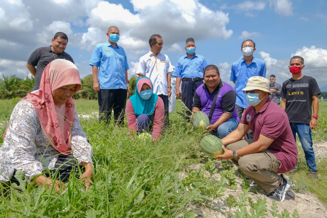 Sektor Pertanian Terengganu Catat Pertumbuhan Ekonomi Mendadak