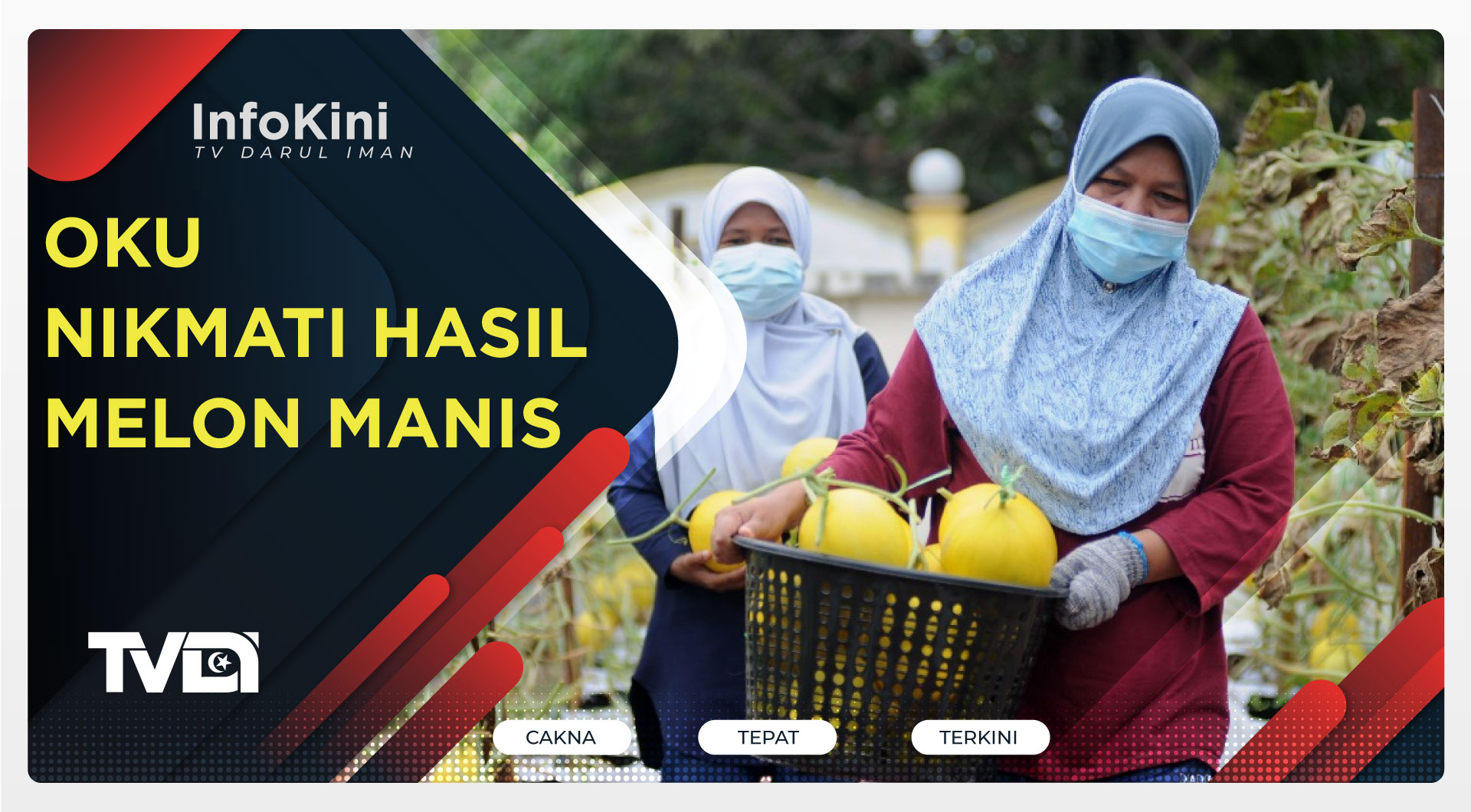 OKU Nikmati Hasil Melon Manis