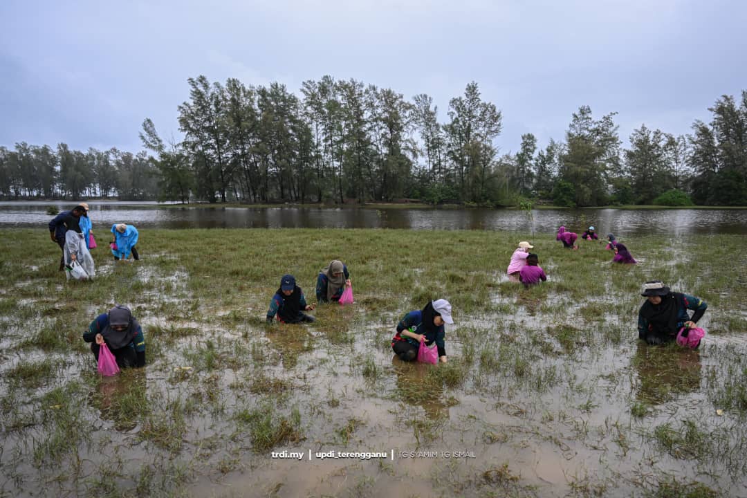 Festival Main Hujang Setiu 2026 Bakal Warnai Musim Tengkujuh Terengganu