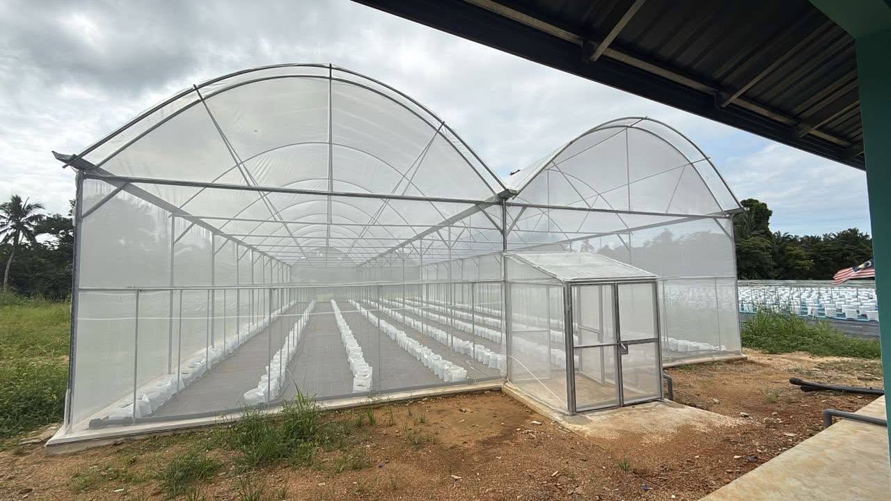 RM350,000 Jayakan Projek Fertigasi Cili PAIST 