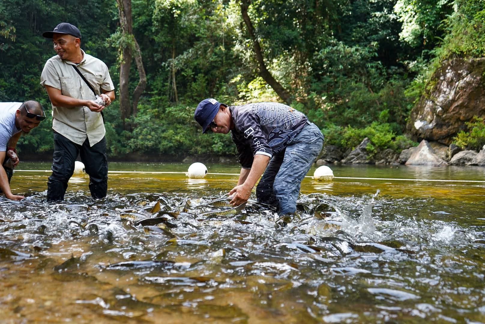 Kerajaan Negeri Siasat Punca Air Keruh Santuari Kelah