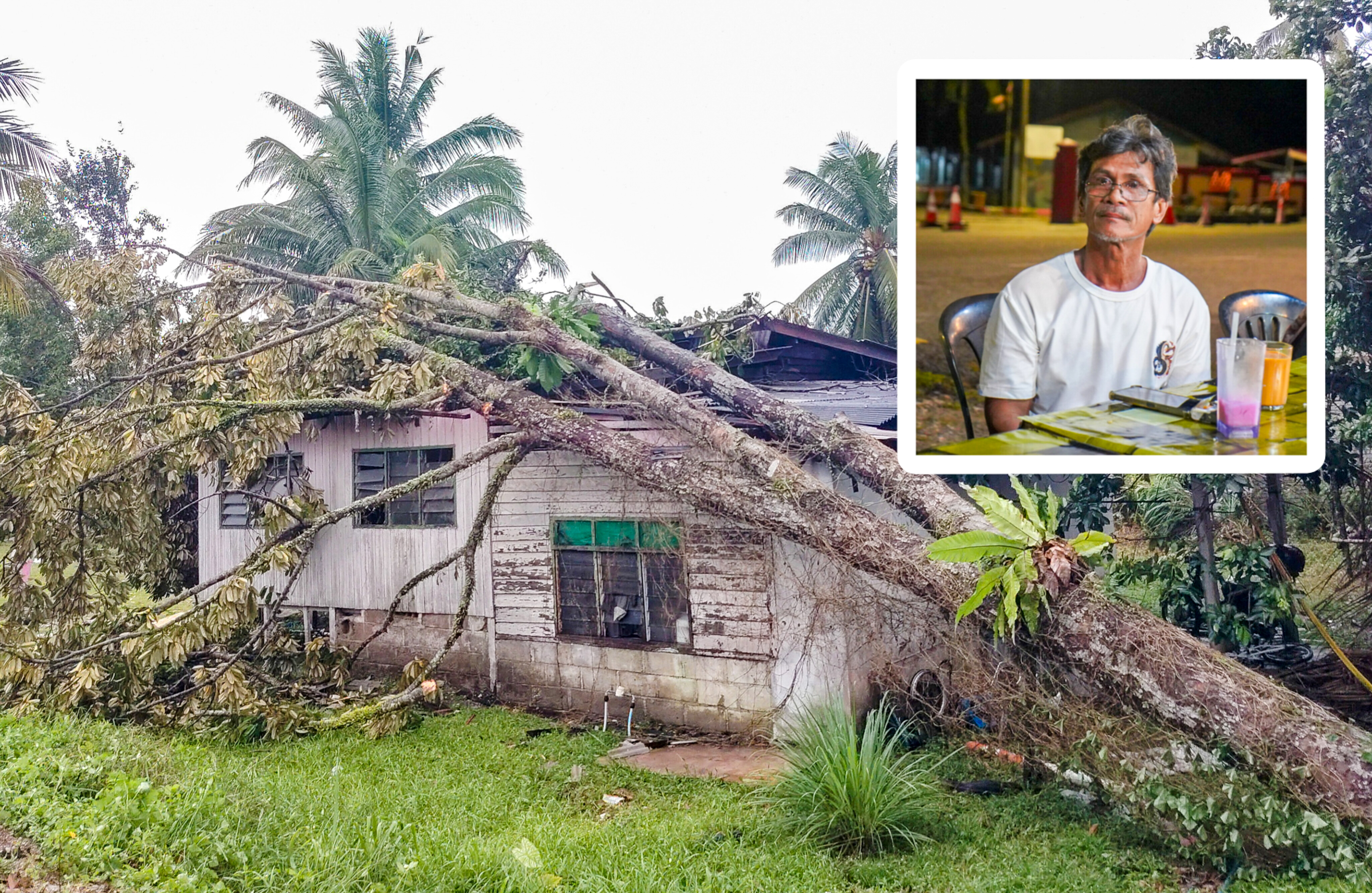 Pokok Hempap Rumah Depan Mata, Seminit Selepas Penghuni Keluar