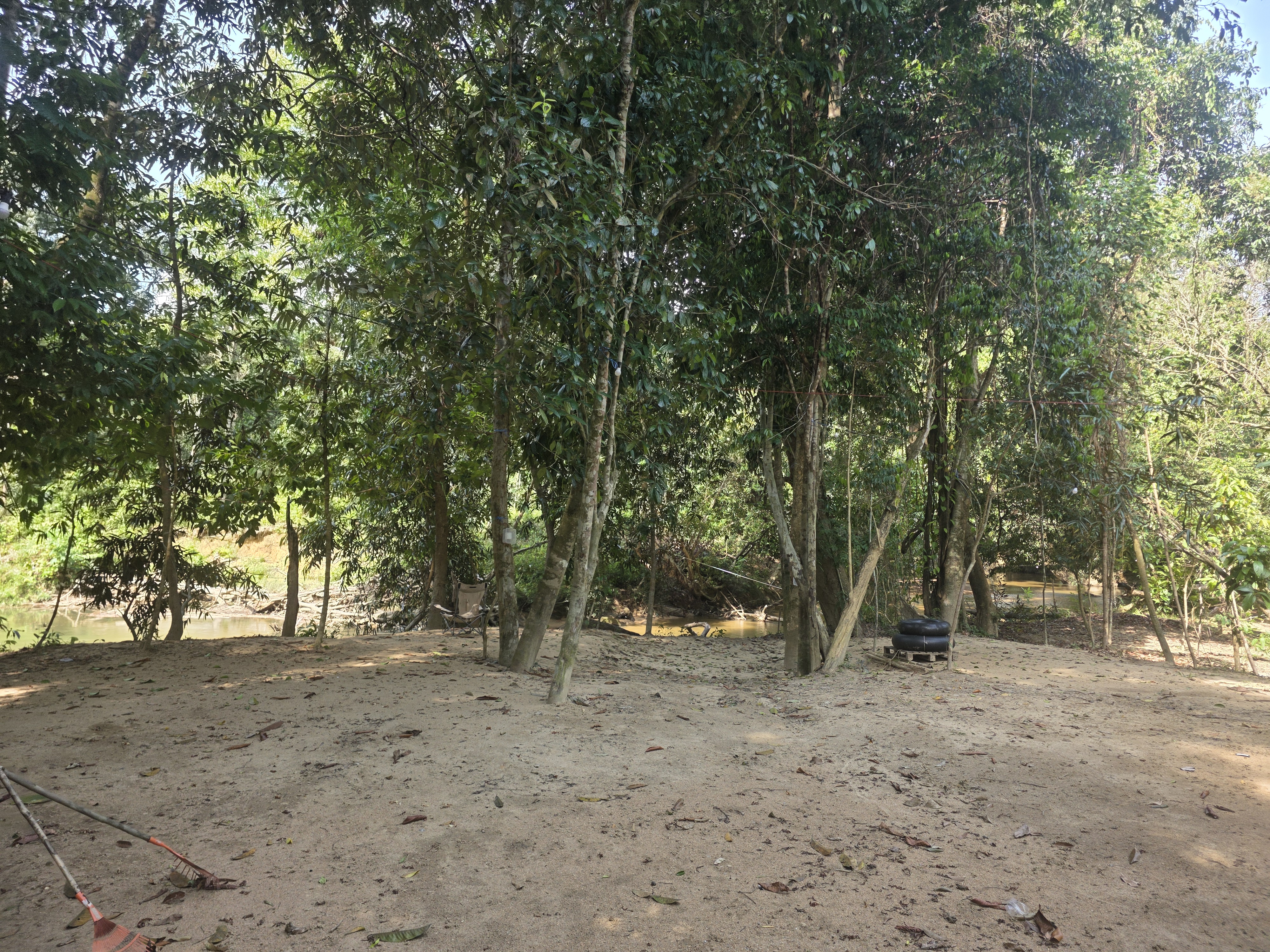 Kelangit Tawar Keunikan Pengalaman Berkhemah Dalam Hutan