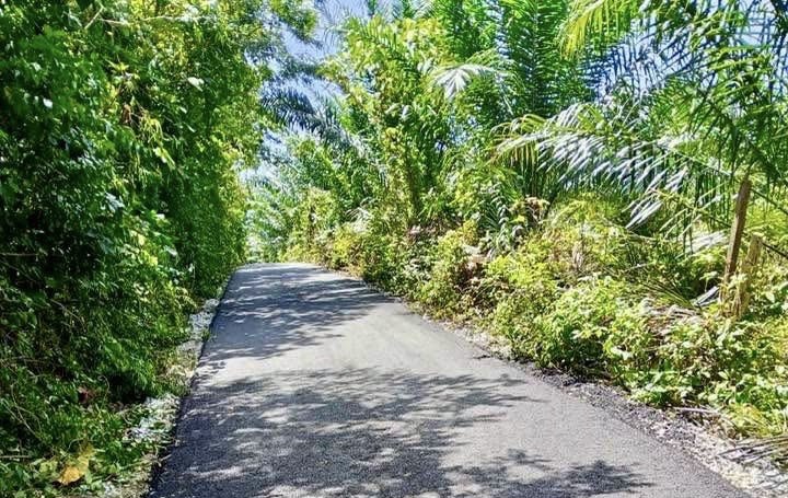Jalan Baharu Kampung Kuala Kubang–Batu Balai Jadi Laluan Utama