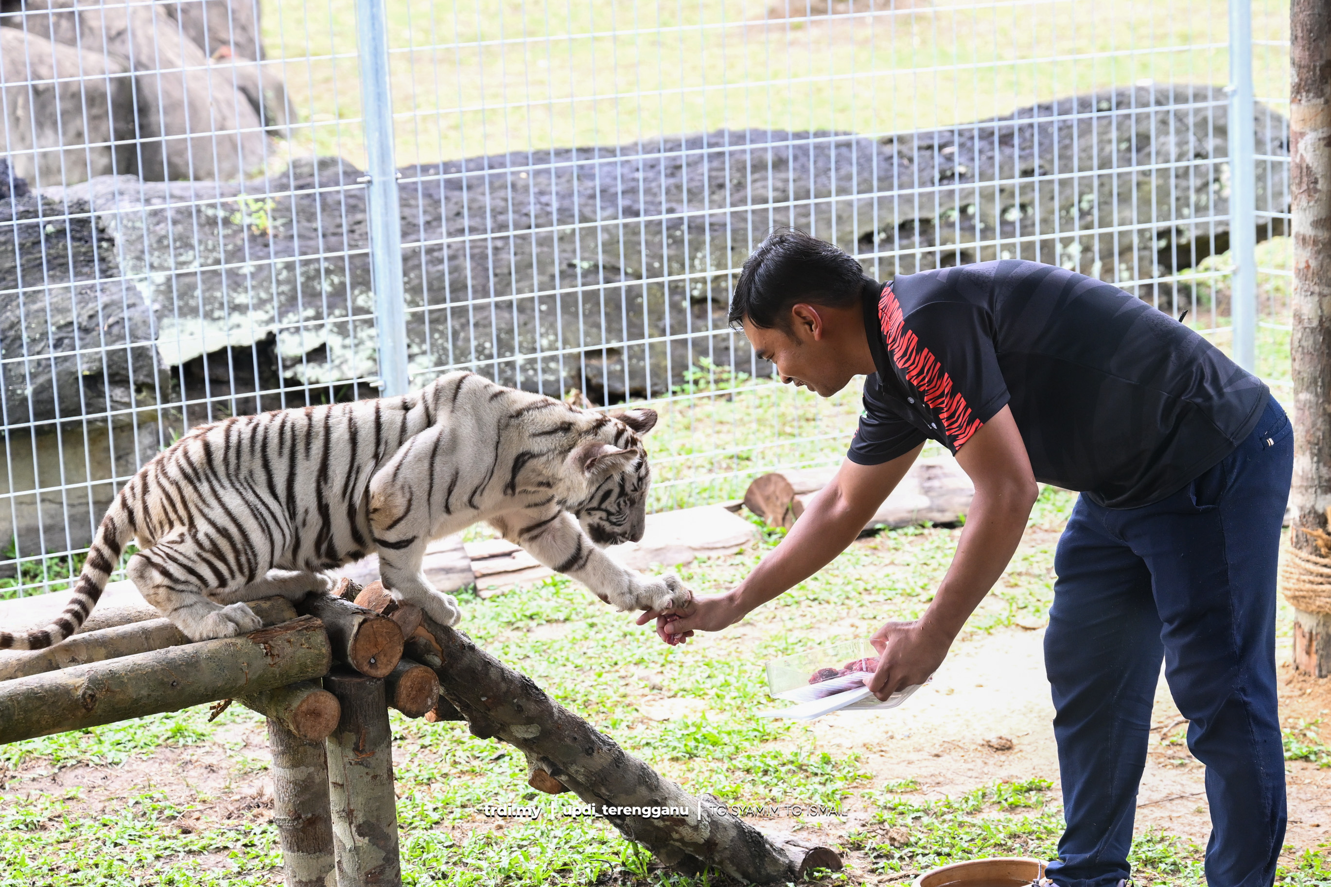 Kerajaan Negeri Ajak Sektor Swasta Bantu Pemeliharaan Haiwan Zoo Kemaman
