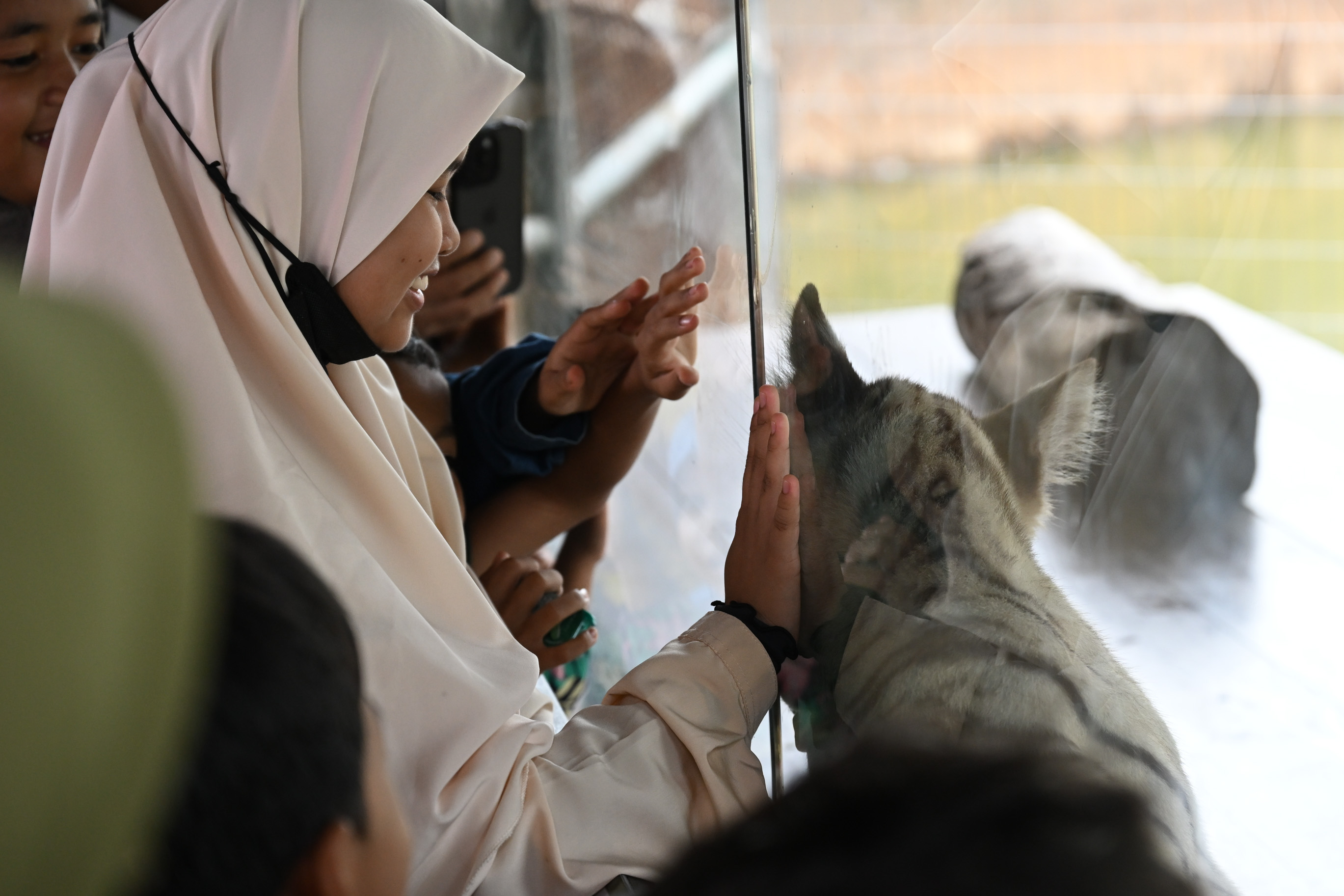 Kemaman Zoo Celebrates New Attraction with Captive-Bred White Bengal Tiger Cubs