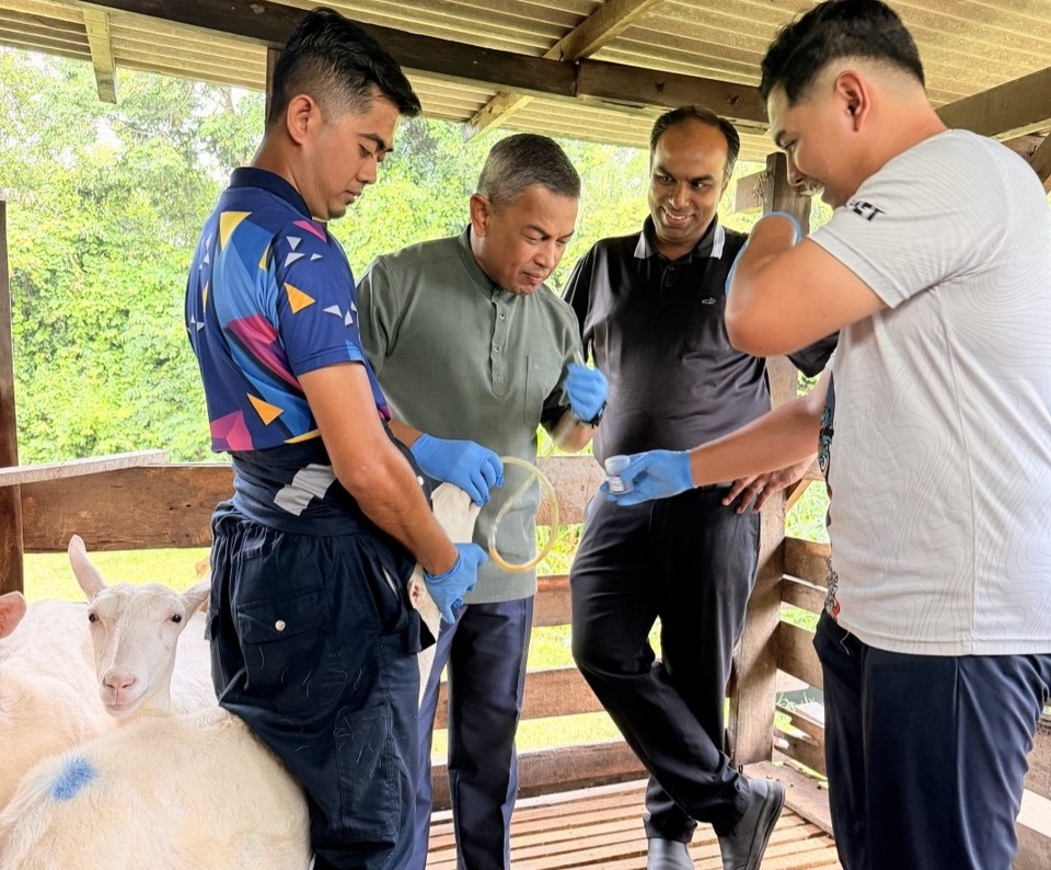 Pasukan Penyelidik UPM Kaji Masalah SARA Babitkan 30 Ladang Kambing Tenusu di Terengganu
