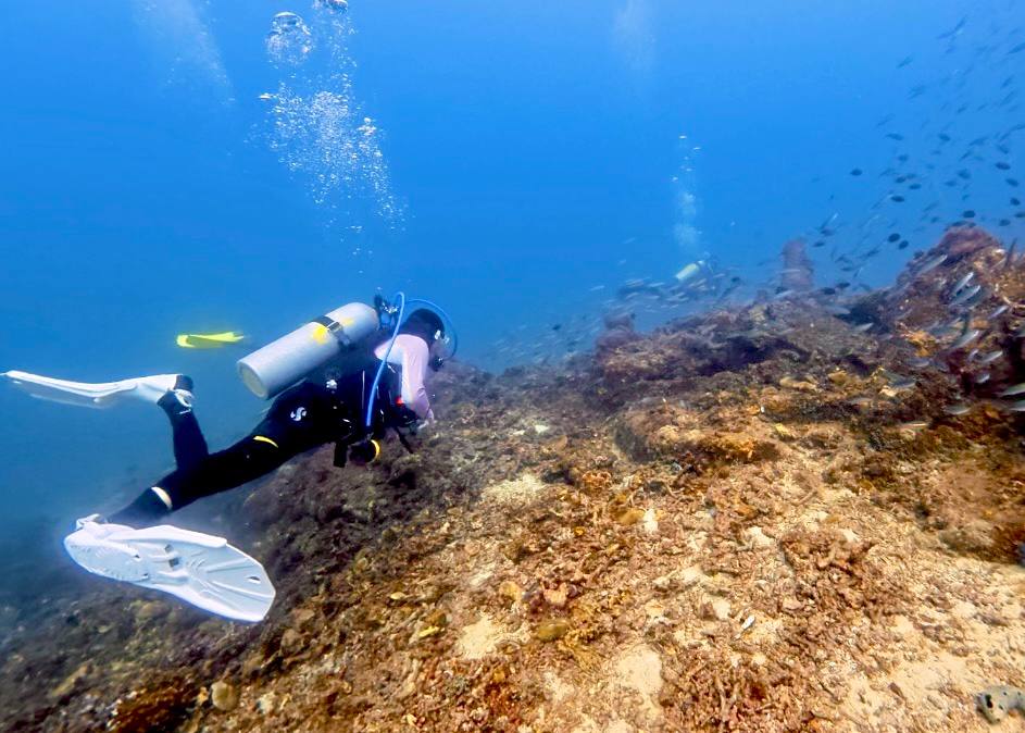 Empat Lokasi Snorkeling Pulau Redang Dicadang Tutup Dua Tahun