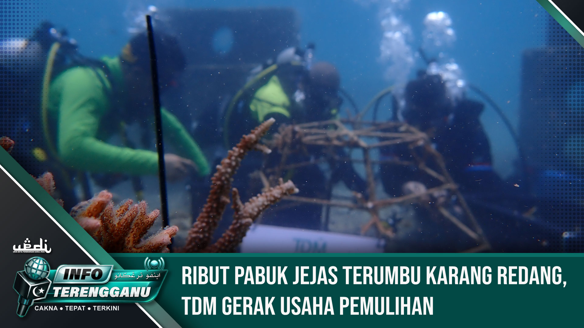 Ribut Pabuk Jejas Terumbu Karang Redang, TDM Gerak Usaha Pemulihan