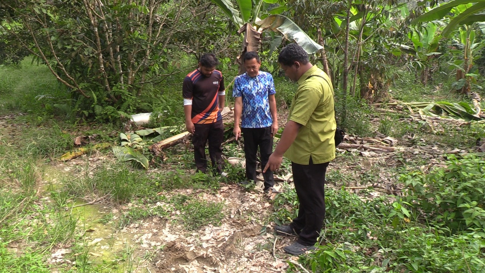 Pekebun Kampung Tepus Desak Tangani Segera Isu Gajah Liar 