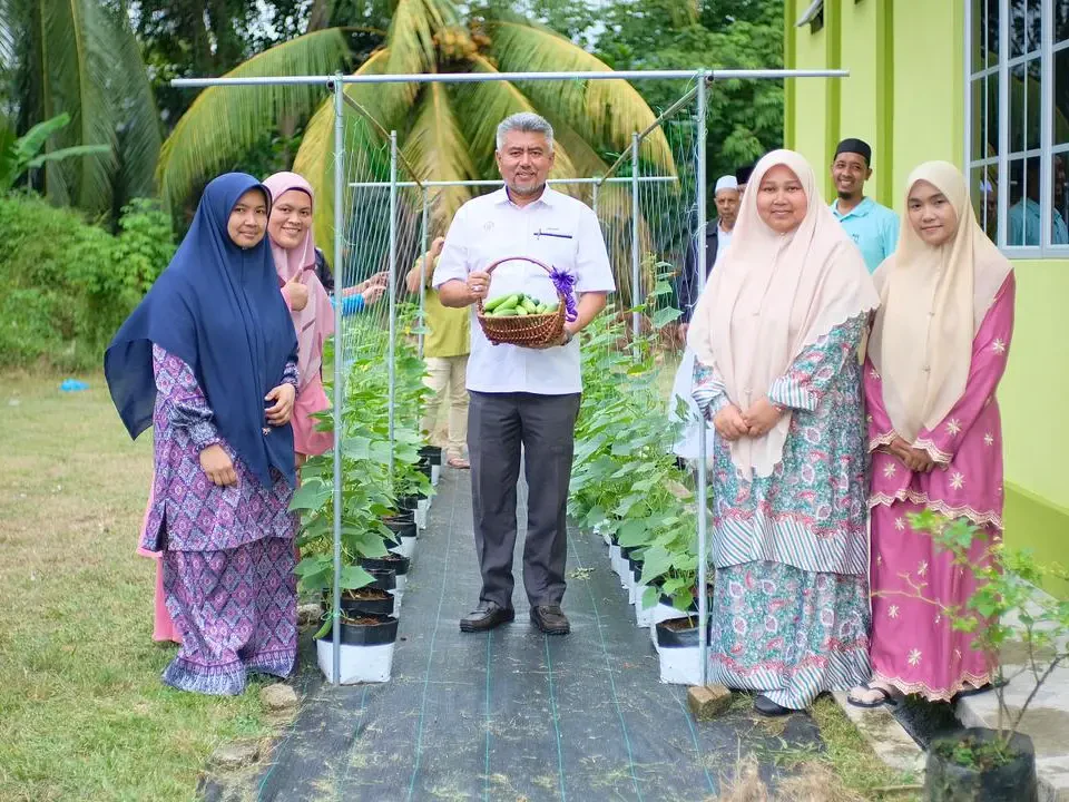 Tanam Sendiri, Jimat Belanja