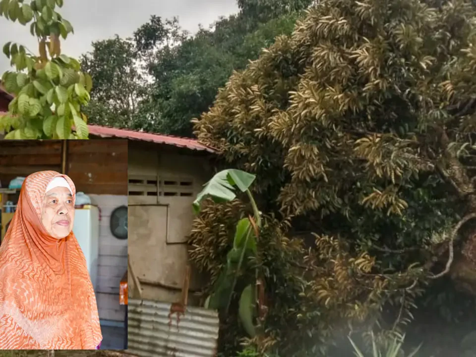 Disangka Bunyi Pokok Tumbang, Rupanya Dahan Durian Hempap Rumah