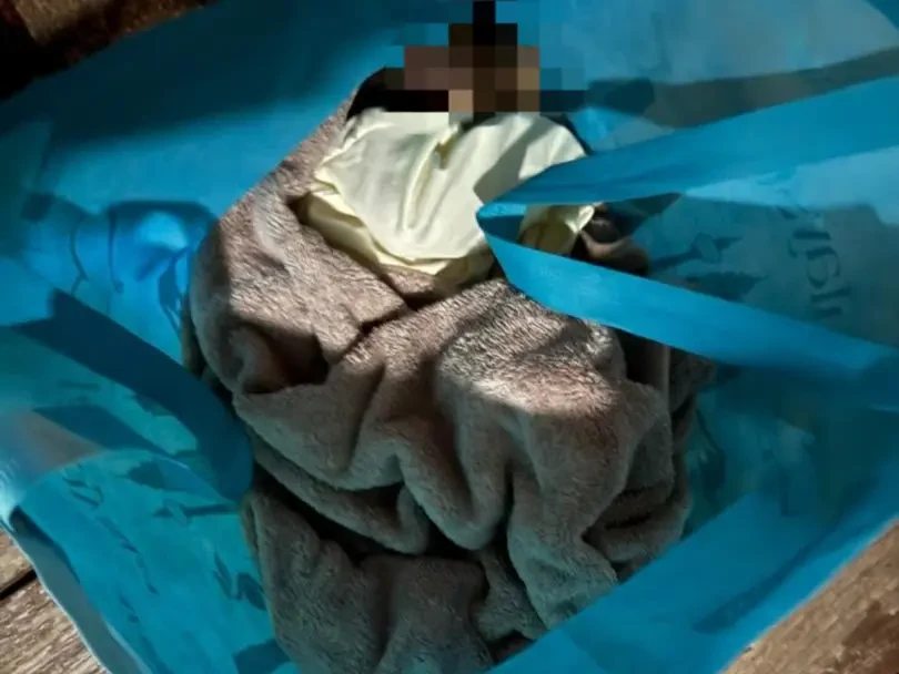 Bayi Perempuan Masih Bertali Pusat  Ditemukan  Di Pekarangan Masjid