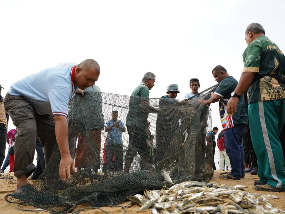 Rezeki Laut Sura, Tarik Pukat Jadi Tarikan
