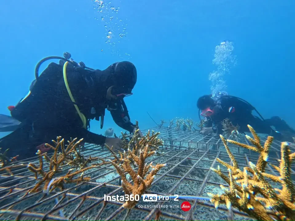 Terengganu Giat Pulih Terumbu Karang, Pacu Pelancongan dan Ekonomi