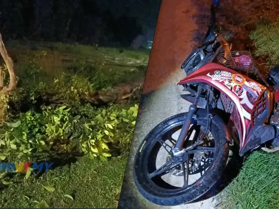 Lelaki Warga Indonesia Maut Motosikal Rempuh Pokok Tumbang Di Setiu