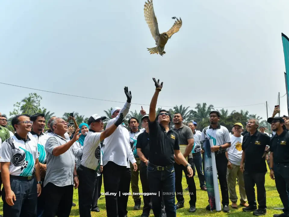 15 Sarang Pungguk Jelapang Bantu Kawal Tikus di Kebun Sawit Setiu
